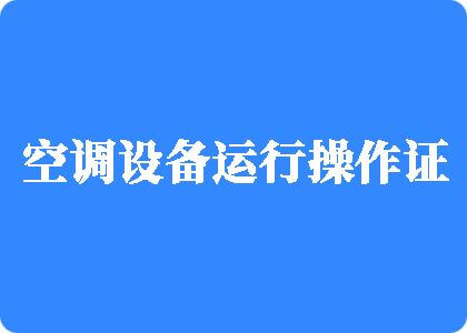 鸡巴大长插操嫩逼网站制冷工证